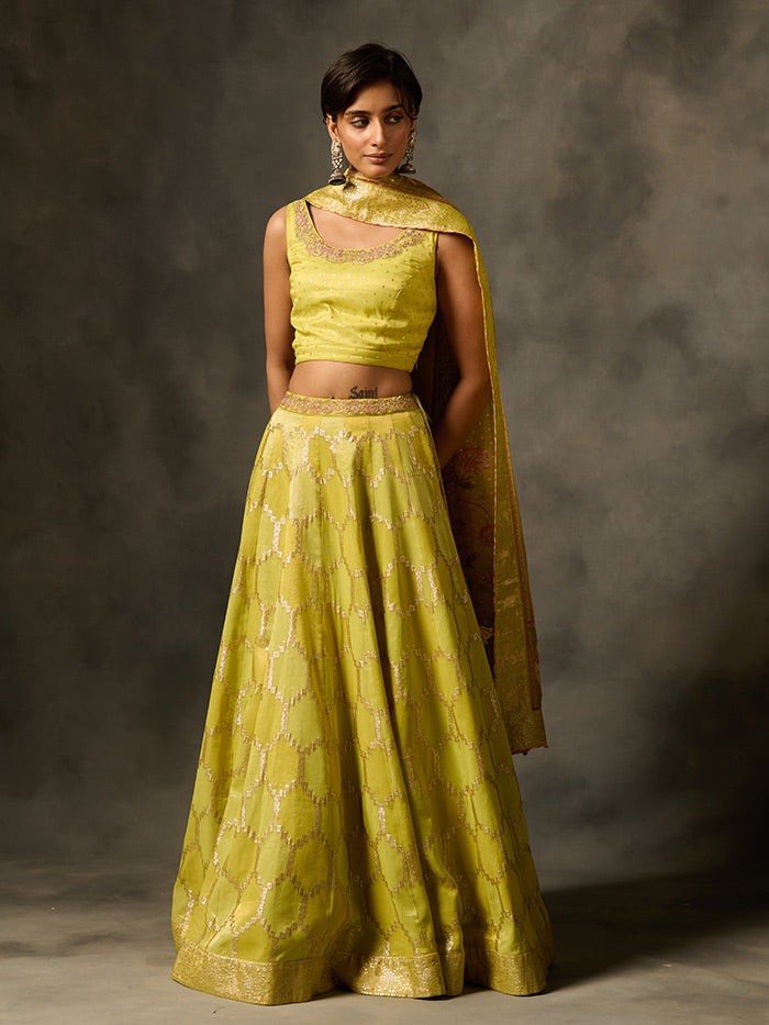 Laya Lehenga set with Dupatta - Green