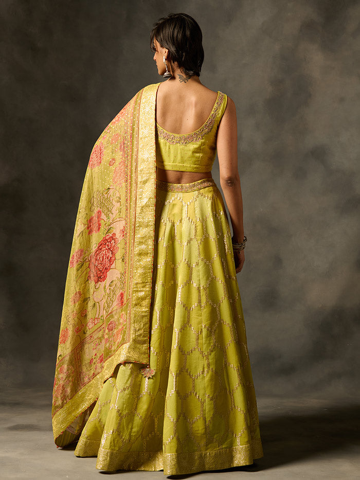 Laya Lehenga set with Dupatta - Green