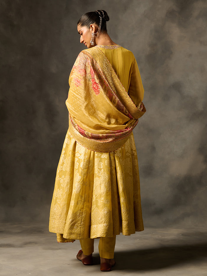 Falak Anarkali Set with Dupatta - Ivory