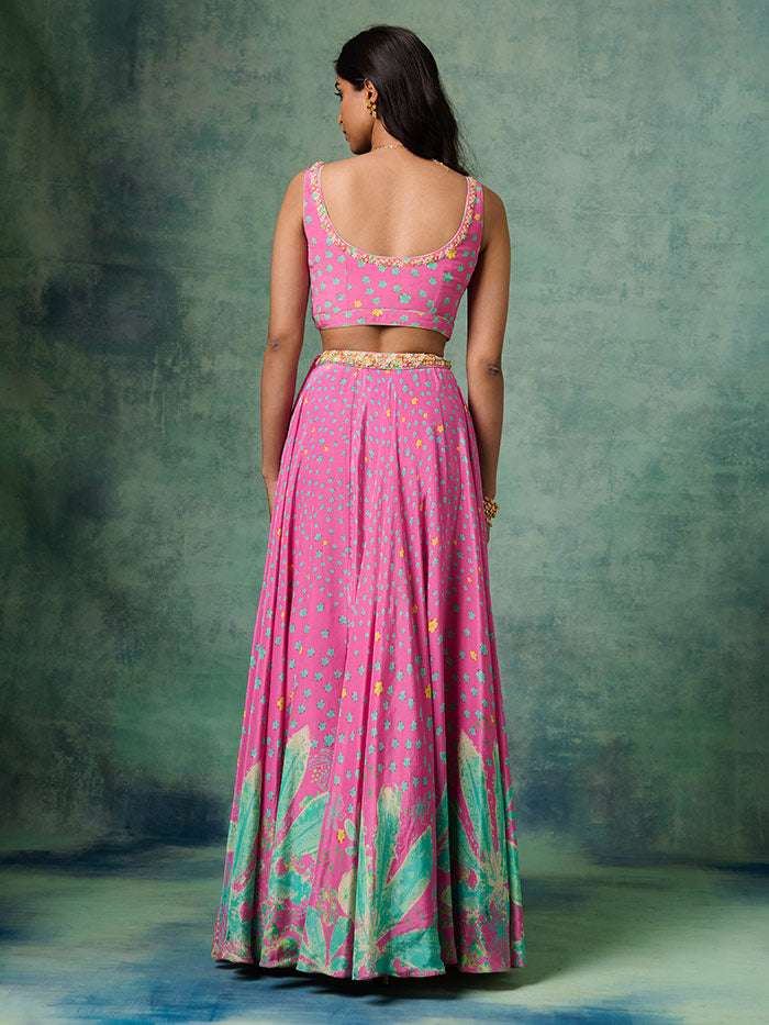 Nilofer Lehenga Set - Pink