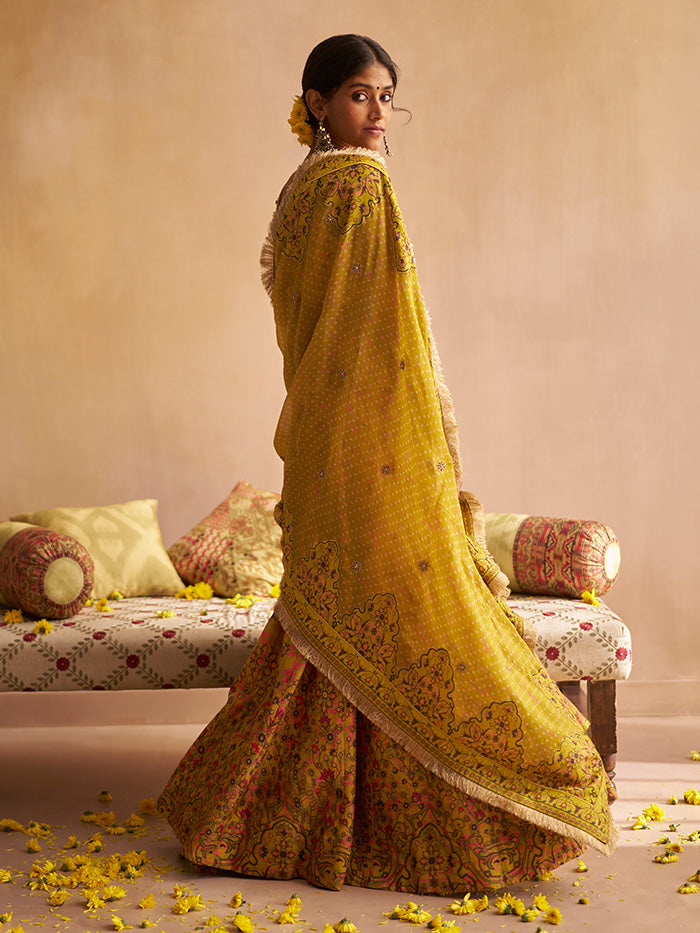 Nida Lehenga Set - Yellow