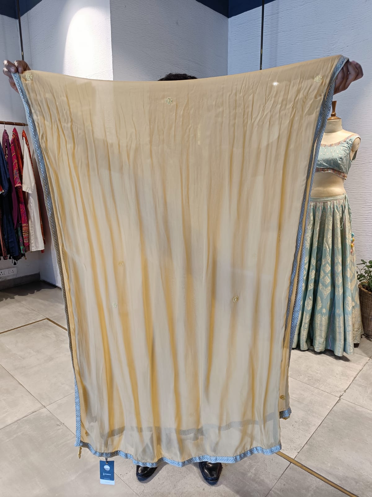 Riwayat Sage Cream Dupatta